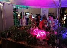 De demostand met biokruiden van Vegobel